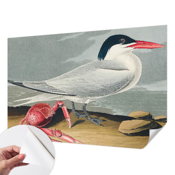 Fototapetai Havlandskabas