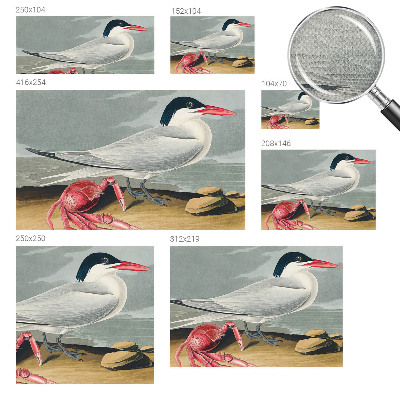 Fototapetai Havlandskabas