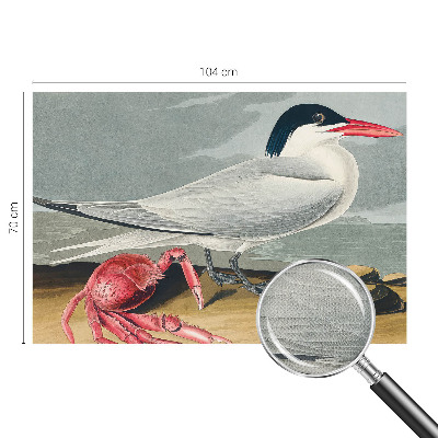 Fototapetai Havlandskabas