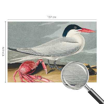 Fototapetai Havlandskabas