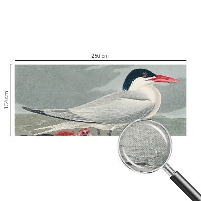 Fototapetai Havlandskabas