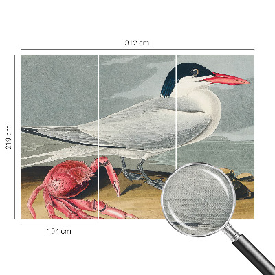 Fototapetai Havlandskabas