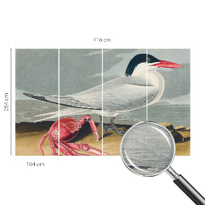 Fototapetai Havlandskabas