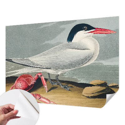 Fototapetai Havlandskabas