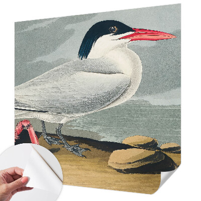 Fototapetai Havlandskabas