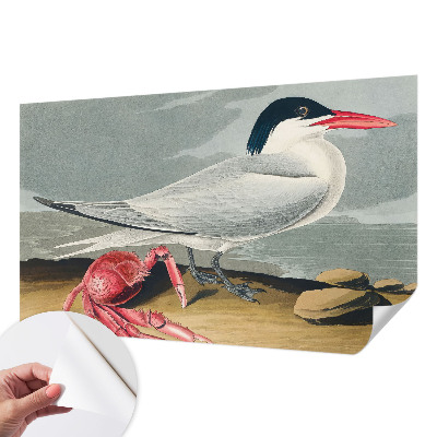 Fototapetai Havlandskabas