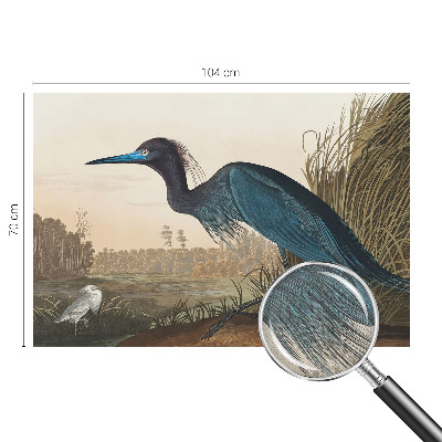 Savaime lipnus fototapetas Vandfugle