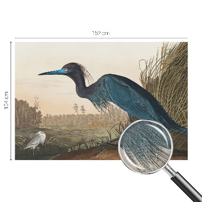 Savaime lipnus fototapetas Vandfugle