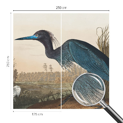 Savaime lipnus fototapetas Vandfugle