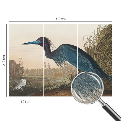 Savaime lipnus fototapetas Vandfugle