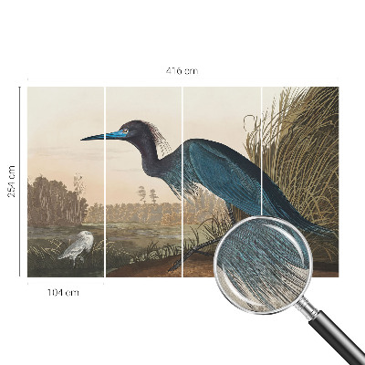 Savaime lipnus fototapetas Vandfugle