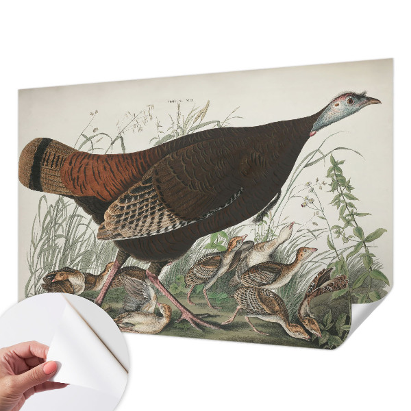 Fototapetas vaikams Natūrali harmonika