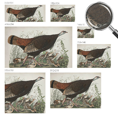 Fototapetas vaikams Natūrali harmonika