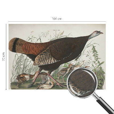 Fototapetas vaikams Natūrali harmonika