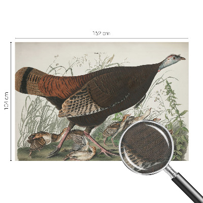 Fototapetas vaikams Natūrali harmonika