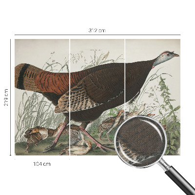 Fototapetas vaikams Natūrali harmonika