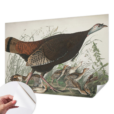 Fototapetas vaikams Natūrali harmonika