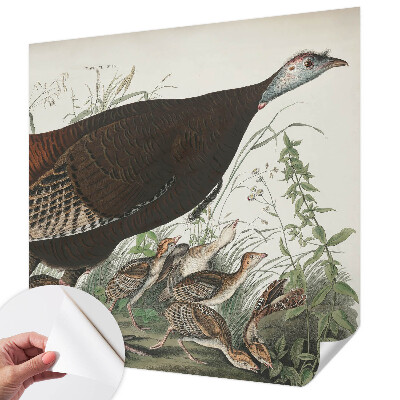 Fototapetas vaikams Natūrali harmonika