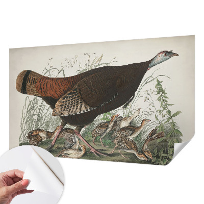 Fototapetas vaikams Natūrali harmonika