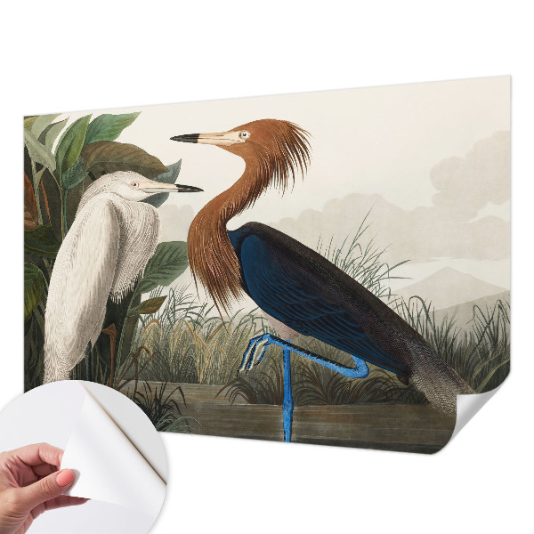 Savaime lipnus fototapetas Fugle i sodintuvas