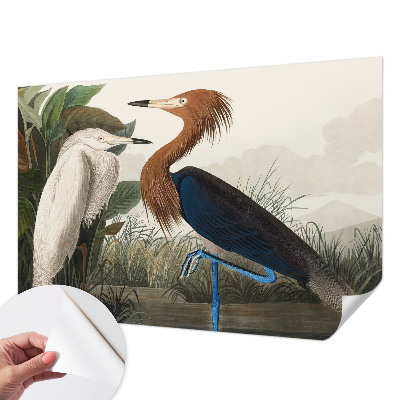 Savaime lipnus fototapetas Fugle i sodintuvas