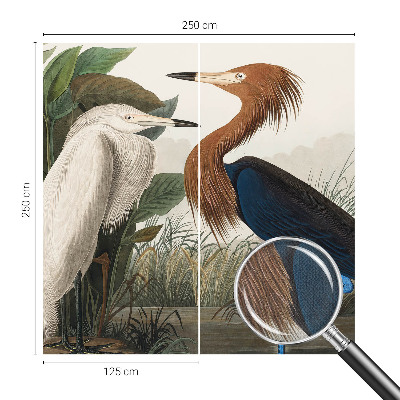 Savaime lipnus fototapetas Fugle i sodintuvas