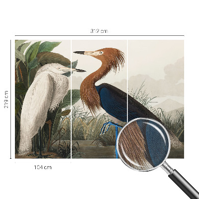 Savaime lipnus fototapetas Fugle i sodintuvas