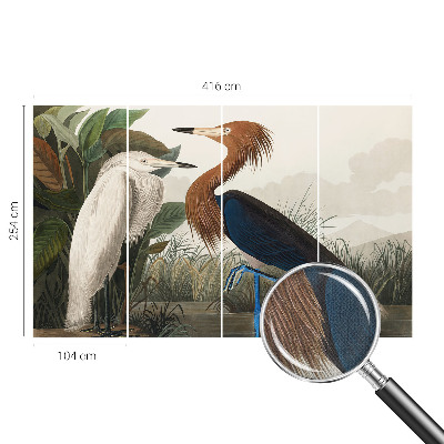 Savaime lipnus fototapetas Fugle i sodintuvas