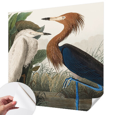 Savaime lipnus fototapetas Fugle i sodintuvas