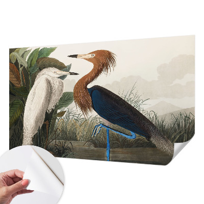 Savaime lipnus fototapetas Fugle i sodintuvas