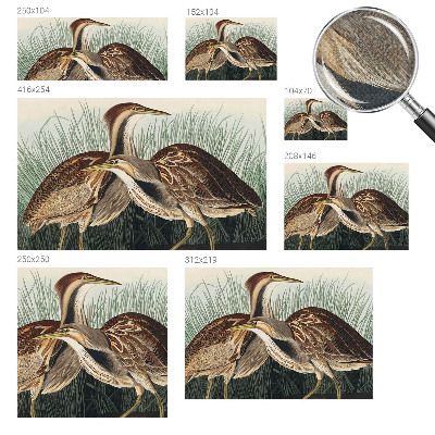 3D fototapetas Realistiška pūga