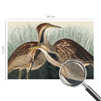 3D fototapetas Realistiška pūga