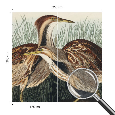 3D fototapetas Realistiška pūga