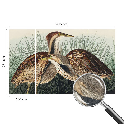 3D fototapetas Realistiška pūga