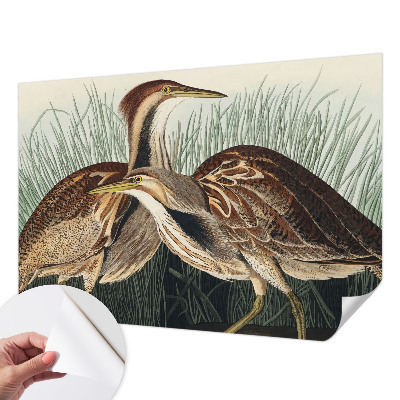 3D fototapetas Realistiška pūga