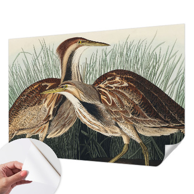 3D fototapetas Realistiška pūga