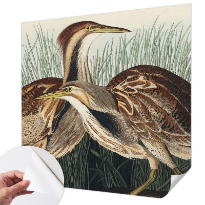 3D fototapetas Realistiška pūga