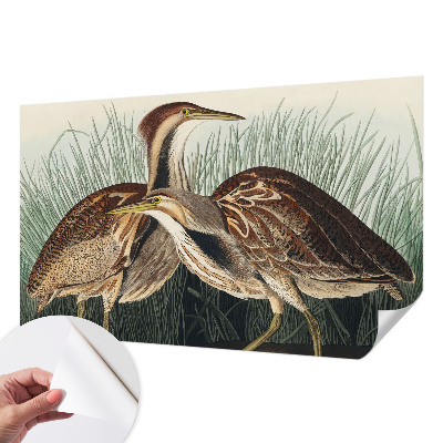 3D fototapetas Realistiška pūga