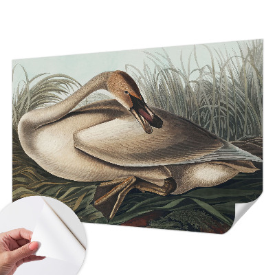 3D fototapetas sienoms su natūralaus paukščio motyvu