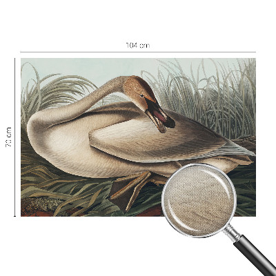 3D fototapetas sienoms su natūralaus paukščio motyvu