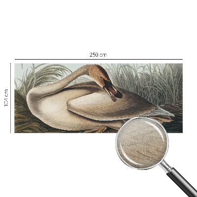 3D fototapetas sienoms su natūralaus paukščio motyvu