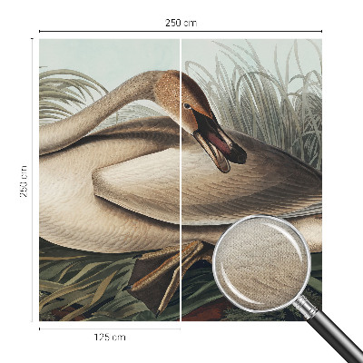 3D fototapetas sienoms Natūralus paukštis