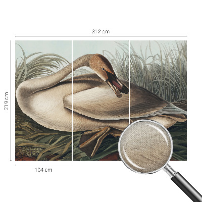 3D fototapetas sienoms su natūralaus paukščio motyvu