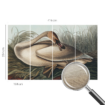 3D fototapetas sienoms su natūralaus paukščio motyvu