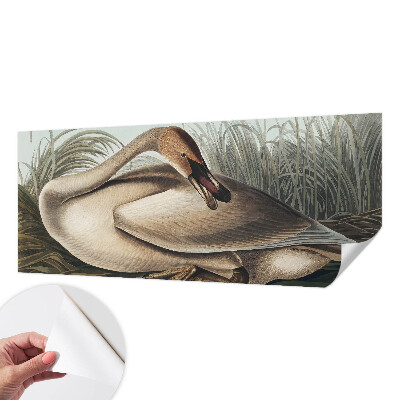 3D fototapetas sienoms Natūralus paukštis