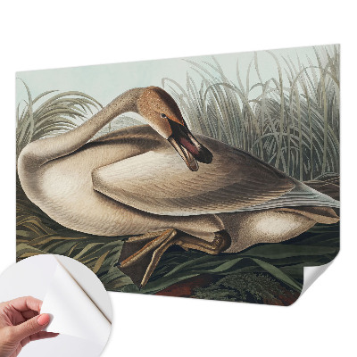 3D fototapetas sienoms su natūralaus paukščio motyvu