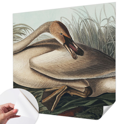 3D fototapetas sienoms su natūralaus paukščio motyvu