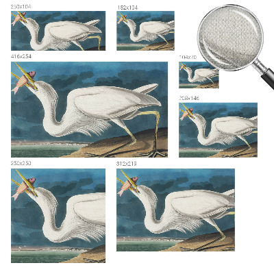 3D fototapetas Fugl med fisk