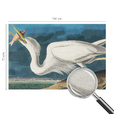 3D fototapetas su paukščiu besivartantį žuvimi