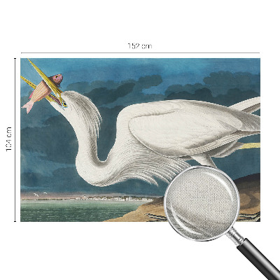 3D fototapetas Fugl med fisk